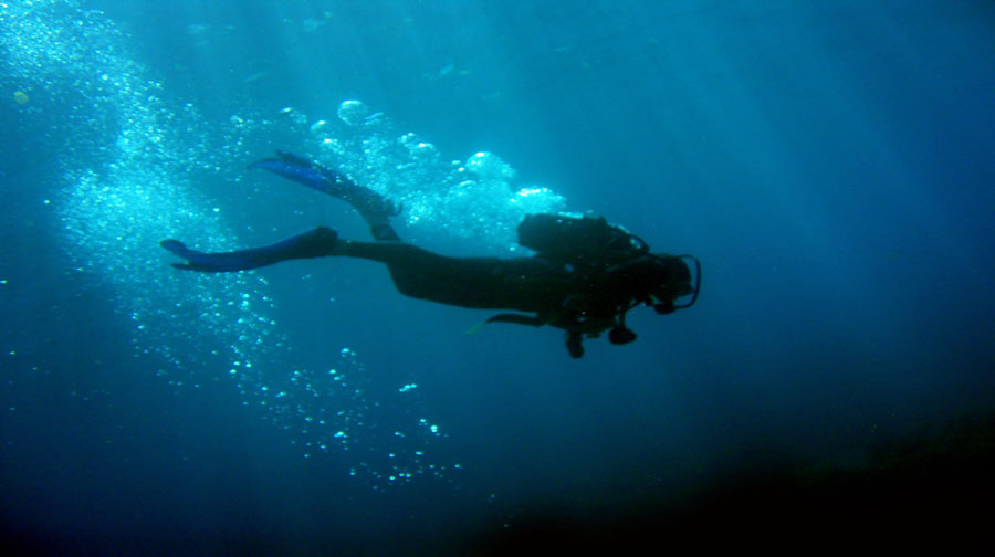 Diving activity in nortern cyprus 